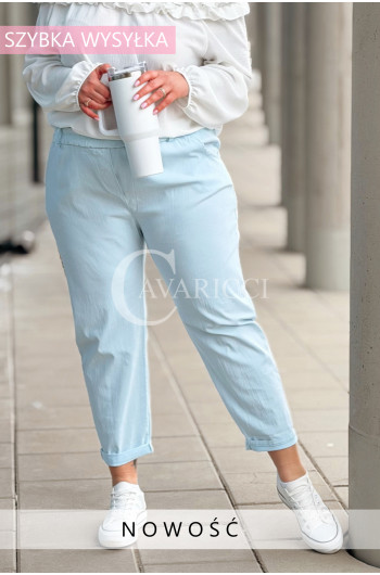 Spodnie ZANELLA – Mistrzynie Wygody z Elastyczną Talią Plus Size...