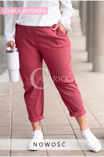 Spodnie ZANELLA – Mistrzynie Wygody z Elastyczną Talią Plus Size...